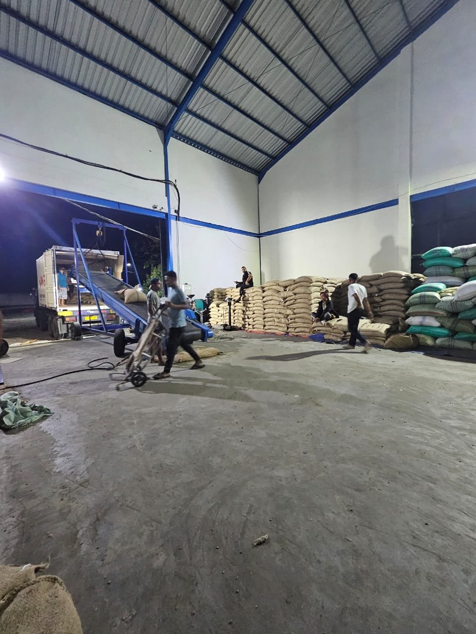Container stuffing for export