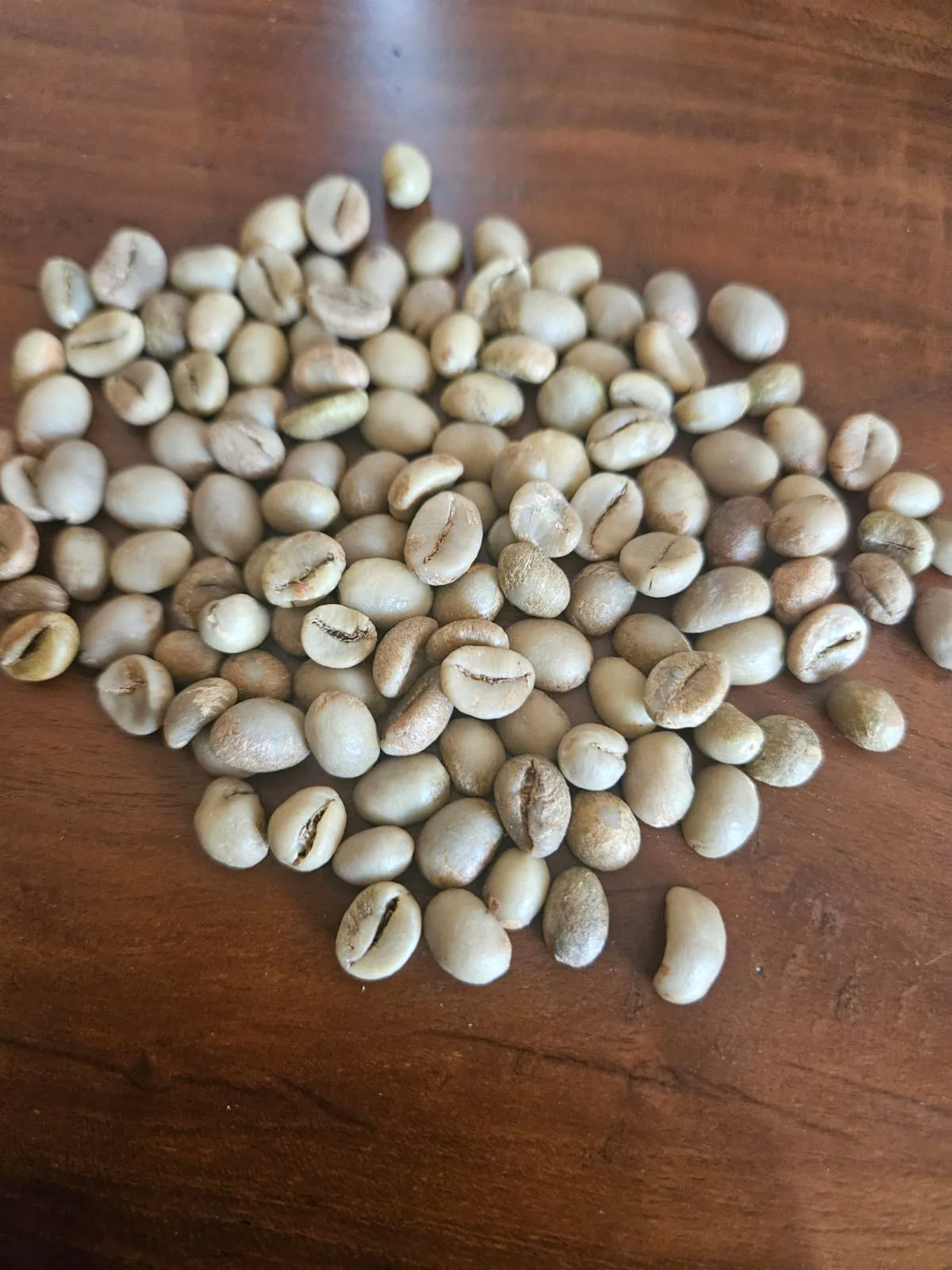 Green coffee sample