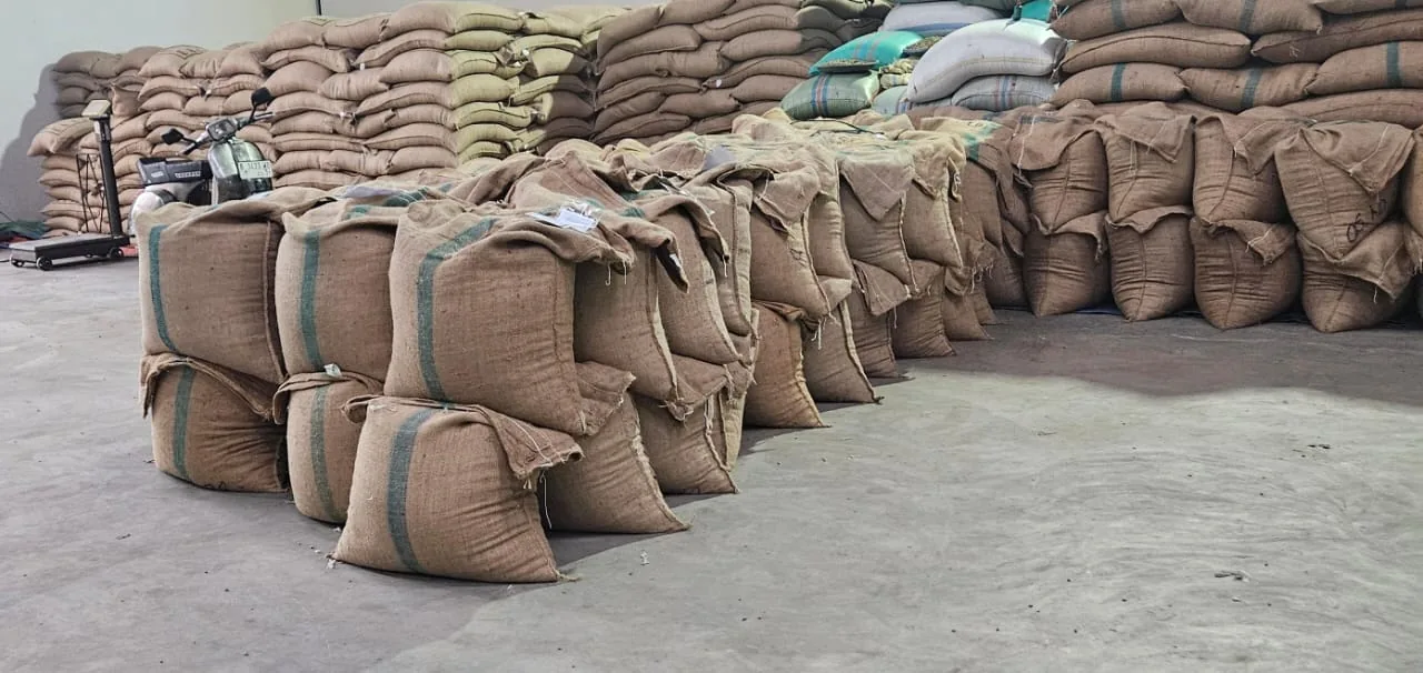 Coffee warehouse stock