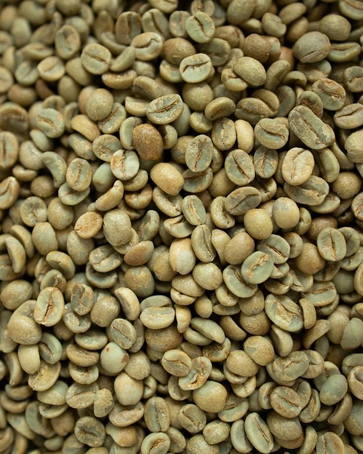 Coffee sourcing